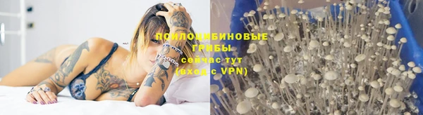 экстази Армянск